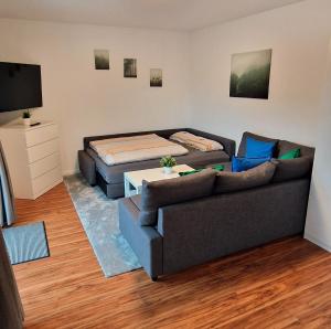 TV a/nebo společenská místnost v ubytování Ferienwohnung Marbachtal Bad Kissingen