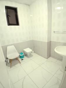 Serendipity Apartment في تيرانا: حمام أبيض مع مرحاض ومغسلة
