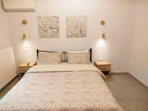 une chambre avec un lit et deux tableaux au mur dans l'établissement Frank and Jimmy apartments, à Tríkala