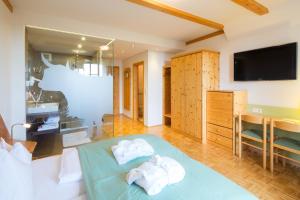 Μια τηλεόραση ή/και κέντρο ψυχαγωγίας στο Hotel Klugbauer