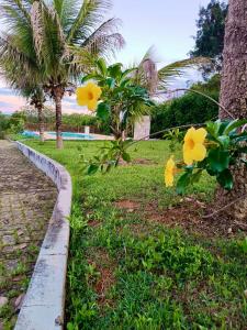 Φωτογραφία από το άλμπουμ του Sítio flor do campo σε Sete Lagoas