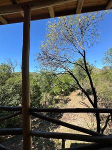 Blick auf einen Baum von der Veranda in der Unterkunft La retama in Alta Gracia