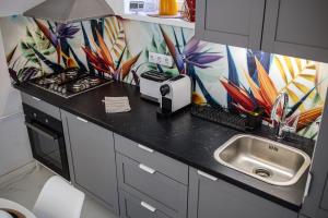 een keuken met een aanrecht met een wastafel en een broodrooster bij Casa Léda Apartment in Szentendre +34 foto's