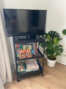 a television on a stand with books and a plant at Studio Premium Haguenau cosy, tout équipé, calme, balcon in Haguenau