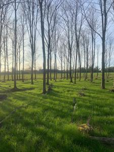 Příroda nedaleko apartmánu