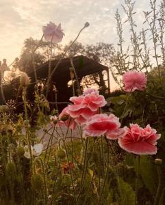 Zahrada ubytování Artists and Writers Farm Space