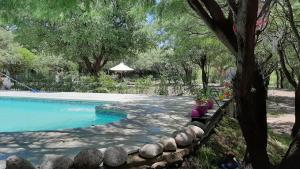 a swimming pool with a tree in a yard at Cabañas en monte autóctono con pileta in San Marcos Sierras