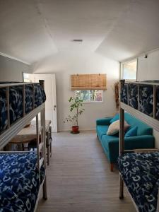 a living room with bunk beds and a couch at Cabañas Selva Negra in Valparaíso +53 photos