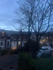 a tree with a white car parked in front of a building at The Bluebird B&B I in Headingley