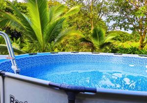 Bazén v ubytování Peace of the forest nebo v jeho okolí