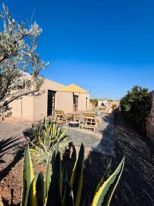 Gallery image of Villa Oasis Marrakesh in El Aggada