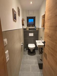 Appartement Steinbergrose في ليوغانغ: حمام صغير مع مرحاض ومغسلة