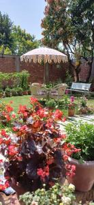 Zahrada ubytování Parijaat Villa