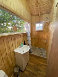 a bathroom with a sink and a shower at Cabaña Caiquen in Villa Cerro Castillo