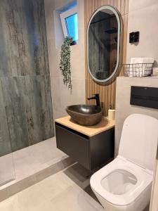 um banheiro com pia e vaso sanitário em Sage Studio em Drobeta-Turnu Severin