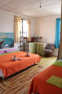 a room with two beds with stuffed animals on them at Mí Oficina in Puerto Ayora