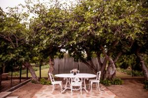 En have udenfor Vygeboom Studio