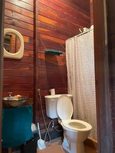 a bathroom with a toilet and a wooden wall at Cabaña Los Nonos in Paso de la Patria +19 photos