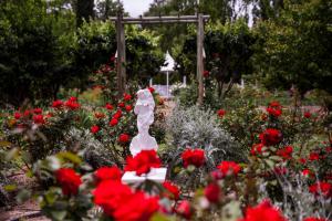 En have udenfor Vygeboom Studio