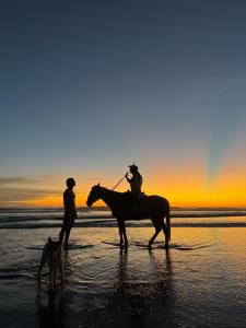 Dos personas montando a caballo y un perro en la playa. en Finca Buena Vida, en Popoyo