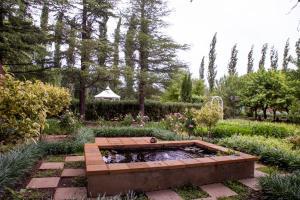 En have udenfor Vygeboom Studio