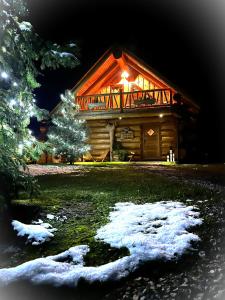 Forest Glade Cottage - Koča na jasi في Rečica ob Savinji: كابينة خشب أمامها ثلج