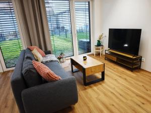 Et tv og/eller underholdning på Diamond Apartment Brno