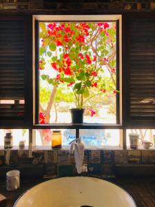 a bathroom sink with a window with a potted plant at Casa Liria Gael - Kite Is Surf School in Jericoacoara