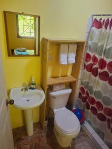 a bathroom with a toilet and a sink and a mirror at Garden of Heliconias Lodge in Drake