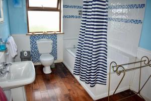 ein Badezimmer mit Toilette und Duschvorhang in der Unterkunft West Kerry House Camp in Tralee