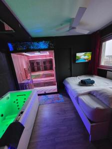 T2 Cosy spacieux Balneo Sauna Parking Noel في ستراسبورغ: غرفة بها سرير وطاولة بلياردو