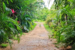 Zahrada ubytování Elephant Trail Homestay