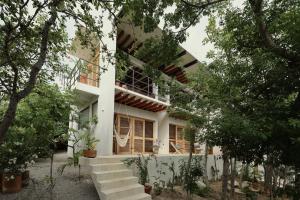 Villa Cuachalalate - Puerto Escondido في El Puertecito: منزل في وسط غابة