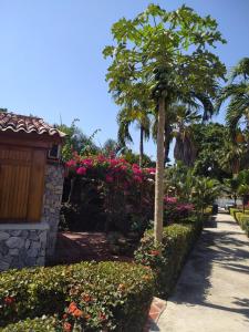 un jardín con flores, una palmera y una acera en Cabaña Condominio Campestre ente Santa Marta Rodadero con Piscina WIFI AC, en Santa Marta