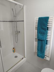 a bathroom with a shower and a blue towel at Villa'vi Lyon Est Chambres d'Hôtes in Saint-Priest +53 photos