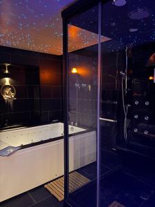 a bathroom with a shower and a glass wall at Apartment - Jacuzzi - Sauna in Voiron
