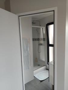 Villa'vi Lyon Est Chambres d'Hôtes في سانت-بريست: حمام مع دش وباب زجاجي