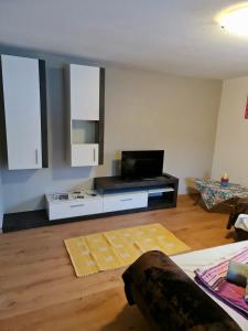 a living room with a flat screen tv on a table at Apart Stefan Niederthai in Niederthai