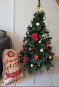 a christmas tree on the floor with a bag next to it at Le Patis in Mignaloux-Beauvoir