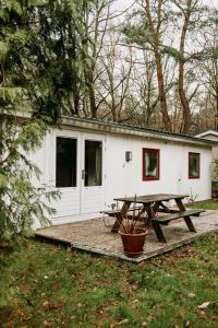 Κήπος έξω από το Boshuisje Noi op de Veluwe +25 φωτογραφίες