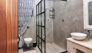a bathroom with a shower and a toilet and a sink at Winelands Manor Vineyard Views in Riebeek-Kasteel +27 photos