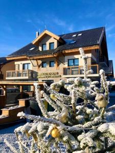 a house with a cactus in front of it at Miracle Seasons in Liptovský Mikuláš