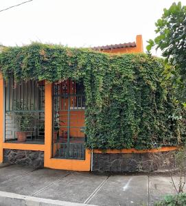 an orange building with green ivy growing on it at Casa 911 Habitación privada céntrica San Salvador in San Salvador