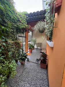un patio con macetas al lado de un edificio en Casa 911, en San Salvador 8 fotos más
