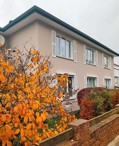 a house with a tree in front of it at Casa Lobi - Die Ferienwohnung mit Ausblick! in Korbach