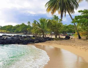 Una playa de arena con palmeras y el océano. en Villa Patio Colibri, en Chambort