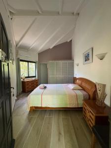Un dormitorio con una cama grande en una habitación. en Villa Patio Colibri, en Chambort