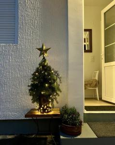 Un árbol de Navidad con una estrella encima en Wert House, en Novi Sad