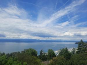 een uitzicht op een grote hoeveelheid water bij Le Cosy Center in Thonon-les-Bains +11 foto's