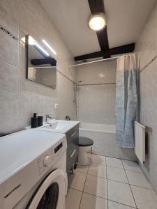 een badkamer met een wasmachine en een wastafel bij Le Cosy Center in Thonon-les-Bains